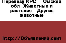 Перевезу КРС  - Омская обл. Животные и растения » Другие животные   